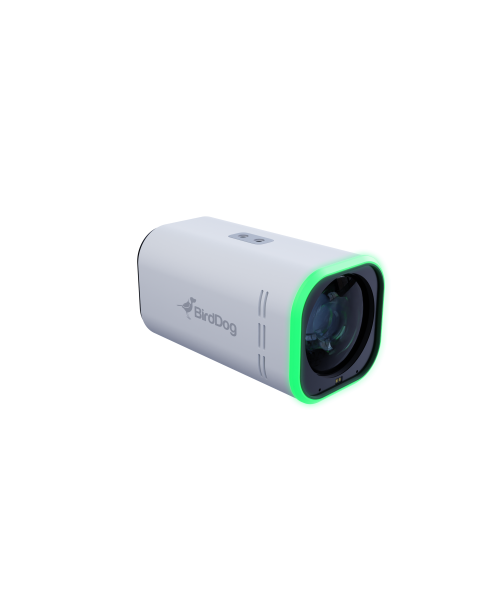 BirdDog MAKI 4K UHD 12x