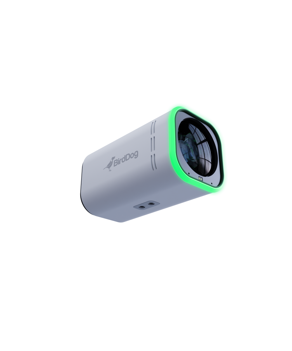 BirdDog MAKI 4K UHD 12x